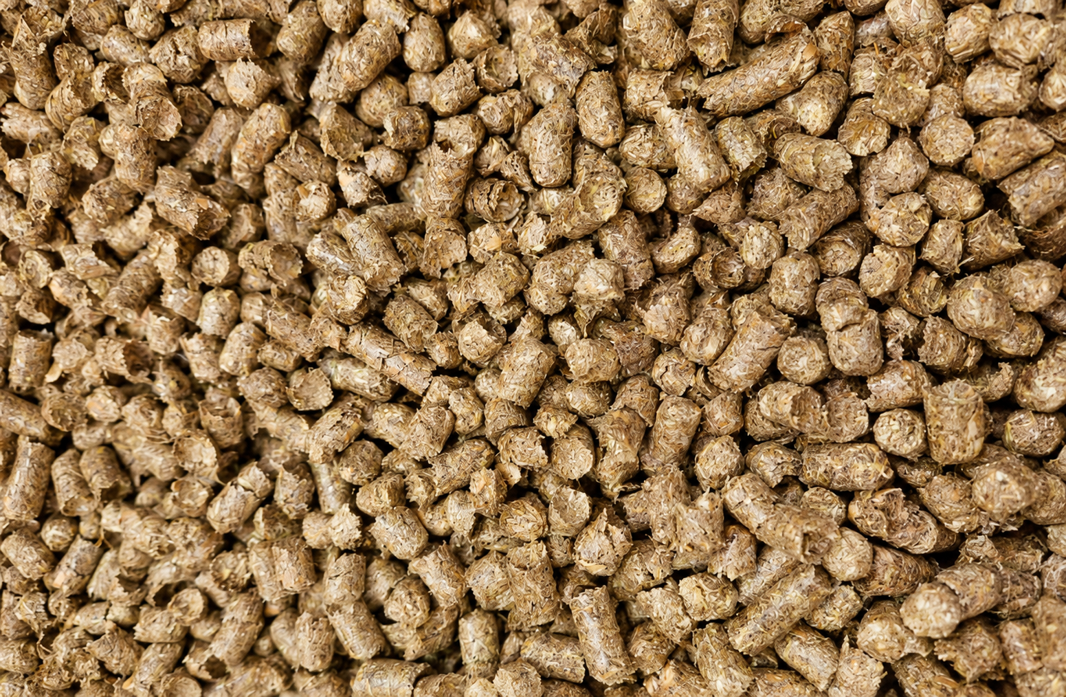 Lose Strohpellets als Einstreu für Pferde
